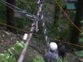 Himachal Pradesh: Trees uprooted, electricity poles damaged after heavy rains in Shimla - Hindi News | Himachal Pradesh: Trees uprooted, electricity poles damaged after heavy rains in Shimla | Latest national News at Lokmattimes.com