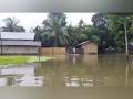 Assam floods: 67 villages submerged in Lakhimpur, around 545.50 hectares of crop damaged - Hindi News | Assam floods: 67 villages submerged in Lakhimpur, around 545.50 hectares of crop damaged | Latest national News at Lokmattimes.com