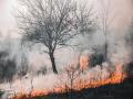 Following Hawaii wildfire, couple sues power companies over ignoring weather warnings - Hindi News | Following Hawaii wildfire, couple sues power companies over ignoring weather warnings | Latest international News at Lokmattimes.com