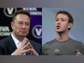 "Send me the location"...Is there anywhere he will fight?": Musk, Zuckerberg fresh war of words - Hindi News | "Send me the location"...Is there anywhere he will fight?": Musk, Zuckerberg fresh war of words | Latest technology News at Lokmattimes.com