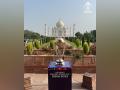 ICC Cricket World Cup trophy reaches Taj Mahal - Hindi News | ICC Cricket World Cup trophy reaches Taj Mahal | Latest cricket News at Lokmattimes.com
