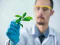 Human love of nature can be attributed to heredity and environment: Study - Hindi News | Human love of nature can be attributed to heredity and environment: Study | Latest technology News at Lokmattimes.com