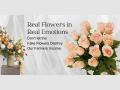 Embracing Authenticity: A Blossoming Movement to Uphold Farmers' Livelihoods Amidst the Rise of Artificial Flowers - Hindi News | Embracing Authenticity: A Blossoming Movement to Uphold Farmers' Livelihoods Amidst the Rise of Artificial Flowers | Latest business News at Lokmattimes.com