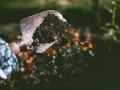Soils pay key role in keeping the planet cool: Study - Hindi News | Soils pay key role in keeping the planet cool: Study | Latest technology News at Lokmattimes.com