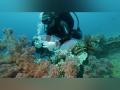 Israel: Eilat’s Red Sea coral reefs deteriorating - Hindi News | Israel: Eilat’s Red Sea coral reefs deteriorating | Latest international News at Lokmattimes.com