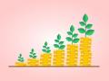 Understanding the Types of Mutual Funds - Hindi News | Understanding the Types of Mutual Funds | Latest business News at Lokmattimes.com