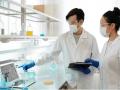 Transparent thin-film solar cell developed with flexible substrate and various colours - Hindi News | Transparent thin-film solar cell developed with flexible substrate and various colours | Latest technology News at Lokmattimes.com