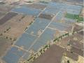 ADB, Fourth Partner Energy to build solar power unit in Tamil Nadu - Hindi News | ADB, Fourth Partner Energy to build solar power unit in Tamil Nadu | Latest business News at Lokmattimes.com