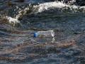 'Clean Bhutan' finds way to utilise the abundance of discarded PET bottles - Hindi News | 'Clean Bhutan' finds way to utilise the abundance of discarded PET bottles | Latest international News at Lokmattimes.com