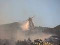 Greek authorities arrest dozens on arson-related charges as wildfires rage across country - Hindi News | Greek authorities arrest dozens on arson-related charges as wildfires rage across country | Latest international News at Lokmattimes.com