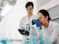 Study finds stem cells in thymus for first time - Hindi News | Study finds stem cells in thymus for first time | Latest technology News at Lokmattimes.com