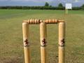 Rajasthan Royals set to organize one of biggest cricket tournaments for U19 girls - Hindi News | Rajasthan Royals set to organize one of biggest cricket tournaments for U19 girls | Latest cricket News at Lokmattimes.com