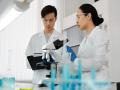 Moral reasoning displays characteristic patterns in brain: Research - Hindi News | Moral reasoning displays characteristic patterns in brain: Research | Latest lifestyle News at Lokmattimes.com