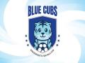 AIFF Grassroots Committee launches Blue Cubs League - Hindi News | AIFF Grassroots Committee launches Blue Cubs League | Latest football News at Lokmattimes.com