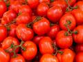 Tomato juice has antibacterial properties that can kill salmonella: Study - Hindi News | Tomato juice has antibacterial properties that can kill salmonella: Study | Latest health News at Lokmattimes.com
