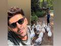 Watch: Kartik Aryan enjoys 'ducks day out' in Goa - Hindi News | Watch: Kartik Aryan enjoys 'ducks day out' in Goa | Latest entertainment News at Lokmattimes.com