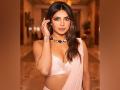 Priyanka Chopra Joins Barry Avrich’s Documentary ‘Born Hungry’ as a Producer - Hindi News | Priyanka Chopra Joins Barry Avrich’s Documentary ‘Born Hungry’ as a Producer | Latest entertainment News at Lokmattimes.com