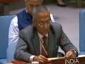 India at UN Calls for Immediate Ceasefire in Gaza Strip, Urges for Unconditional Release of Hostages - Hindi News | India at UN Calls for Immediate Ceasefire in Gaza Strip, Urges for Unconditional Release of Hostages | Latest international News at Lokmattimes.com