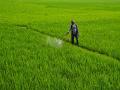 Govt fertiliser subsidy outlay to increase amid supply disruptions by China and surge in international prices: Report - Hindi News | Govt fertiliser subsidy outlay to increase amid supply disruptions by China and surge in international prices: Report | Latest business News at Lokmattimes.com