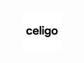 Celigo Honored as a Great Place To Work for Third Consecutive Year - Hindi News | Celigo Honored as a Great Place To Work for Third Consecutive Year | Latest business News at Lokmattimes.com