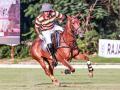 Polo's New Era: The Young Maharaja's Mission - Hindi News | Polo's New Era: The Young Maharaja's Mission | Latest business News at Lokmattimes.com
