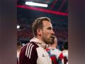 Extending Kane's contract would be madness: Former Bayern Munich midfielder Hamann - Hindi News | Extending Kane's contract would be madness: Former Bayern Munich midfielder Hamann | Latest football News at Lokmattimes.com
