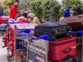Indian luggage industry to touch Rs 267 Bn by 2028, Says Motilal Oswal Report - Hindi News | Indian luggage industry to touch Rs 267 Bn by 2028, Says Motilal Oswal Report | Latest business News at Lokmattimes.com