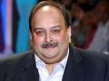 Mehul Choksi challenges Antwerp Court's extradition order in Belgium's Top Court - Hindi News | Mehul Choksi challenges Antwerp Court's extradition order in Belgium's Top Court | Latest international News at Lokmattimes.com