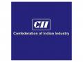 CII proposes India Development and Strategic Fund to finance India's long-term growth and economic resilience - Hindi News | CII proposes India Development and Strategic Fund to finance India's long-term growth and economic resilience | Latest business News at Lokmattimes.com