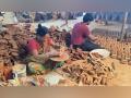 Karthigai Deepam lamp-making in full swing across Tamil Nadu's Dindigul - Hindi News | Karthigai Deepam lamp-making in full swing across Tamil Nadu's Dindigul | Latest entertainment News at Lokmattimes.com