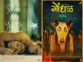IFFI 2025: Vietnamese film 'Skin of Youth' bags Best Feature; Santosh Davakahar wins Best Director for Marathi film 'Gondhal' - Hindi News | IFFI 2025: Vietnamese film 'Skin of Youth' bags Best Feature; Santosh Davakahar wins Best Director for Marathi film 'Gondhal' | Latest entertainment News at Lokmattimes.com