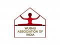 Delhi HC stays Wushu Federation's disaffiliation order against DAWA - Hindi News | Delhi HC stays Wushu Federation's disaffiliation order against DAWA | Latest other-sports News at Lokmattimes.com