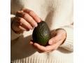 Why Adding Avocados to Your Diet is the Ultimate Cold-Weather Hack - Hindi News | Why Adding Avocados to Your Diet is the Ultimate Cold-Weather Hack | Latest business News at Lokmattimes.com