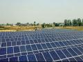 Reliance group unveils new growth engines to drive company's clean energy, strategic future - Hindi News | Reliance group unveils new growth engines to drive company's clean energy, strategic future | Latest business News at Lokmattimes.com