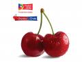 The much-awaited 2025 season of Chilean cherries has arrived, bringing the freshest and most delicious cherries to markets across India - Hindi News | The much-awaited 2025 season of Chilean cherries has arrived, bringing the freshest and most delicious cherries to markets across India | Latest business News at Lokmattimes.com