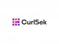 CurlSek Secures Funding from Capital3 to Scale Its AI-Powered Continuous Pentesting Platform - Hindi News | CurlSek Secures Funding from Capital3 to Scale Its AI-Powered Continuous Pentesting Platform | Latest business News at Lokmattimes.com