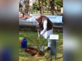 "PM Modi Plants Tree at Ethiopian Parliament as Part of India's 'Ek Ped, Maa Ke Naam' Initiative" - Hindi News | "PM Modi Plants Tree at Ethiopian Parliament as Part of India's 'Ek Ped, Maa Ke Naam' Initiative" | Latest international News at Lokmattimes.com