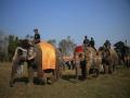 Elephants take part in penalty shootout competition at annual mammoth festival in Nepal - Hindi News | Elephants take part in penalty shootout competition at annual mammoth festival in Nepal | Latest international News at Lokmattimes.com