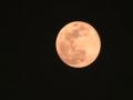 Wolf Moon 2026: First supermoon of the year lights up Guwahati sky - Hindi News | Wolf Moon 2026: First supermoon of the year lights up Guwahati sky | Latest entertainment News at Lokmattimes.com