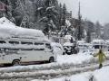 Cold wave persists following heavy rain, snow in Himachal after long dry spell - Hindi News | Cold wave persists following heavy rain, snow in Himachal after long dry spell | Latest national News at Lokmattimes.com