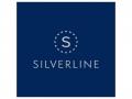 Silverline Technologies Ltd launches Silverline's AI Web platform "Silver AI" - Hindi News | Silverline Technologies Ltd launches Silverline's AI Web platform "Silver AI" | Latest business News at Lokmattimes.com