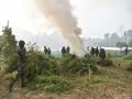 Tripura: Assam Rifles destroy 1.75 lakh ganja saplings worth Rs 25.72 crore in an anti-narcotics operation - Hindi News | Tripura: Assam Rifles destroy 1.75 lakh ganja saplings worth Rs 25.72 crore in an anti-narcotics operation | Latest national News at Lokmattimes.com