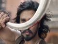 'Swayambhu' teaser out now - Hindi News | 'Swayambhu' teaser out now | Latest entertainment News at Lokmattimes.com