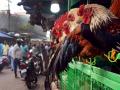 Karnataka: Sale of meat prohibited in Bengaluru on occasion of Mahashivratri - Hindi News | Karnataka: Sale of meat prohibited in Bengaluru on occasion of Mahashivratri | Latest national News at Lokmattimes.com