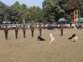 Assam Rifles showcases prowess of its canines to officials at Jorhat - Hindi News | Assam Rifles showcases prowess of its canines to officials at Jorhat | Latest national News at Lokmattimes.com