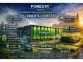 FORESTA™: EnerSynk Group Launches the World's First Deployable Living Forest - Hindi News | FORESTA™: EnerSynk Group Launches the World's First Deployable Living Forest | Latest business News at Lokmattimes.com