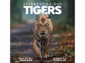 Amaan Ali Bangash, Ayaan Ali Bangash announce new album 'Celebrating Our Tigers' - Hindi News | Amaan Ali Bangash, Ayaan Ali Bangash announce new album 'Celebrating Our Tigers' | Latest entertainment News at Lokmattimes.com
