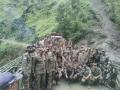 J-K: BRO restores Bhaderwah-Bani-Basohli connectivity after heavy snowfall - Hindi News | J-K: BRO restores Bhaderwah-Bani-Basohli connectivity after heavy snowfall | Latest national News at Lokmattimes.com