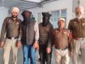 Punjab: Bathinda Police arrest 2 drug traffickers, recover 6.5 Kg opium - Hindi News | Punjab: Bathinda Police arrest 2 drug traffickers, recover 6.5 Kg opium | Latest national News at Lokmattimes.com