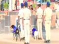 Vijayapura police bid farewell to veteran canines Raksha, Stella after 12 Years of service; 2 new dogs join - Hindi News | Vijayapura police bid farewell to veteran canines Raksha, Stella after 12 Years of service; 2 new dogs join | Latest national News at Lokmattimes.com